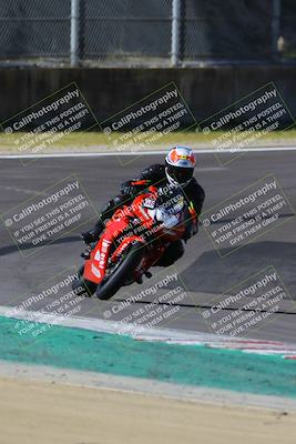 media/Mar-17-2024-Fastrack Riders (Sun) [[c7d6f8c14c]]/Level 2/Turn 6/